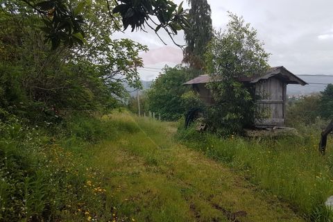 Farm i Arcos de Valdevez, Viana do Castelo, Arcos de Valdevez - € 400.000 | Ref: 126371012-17 - foto 5