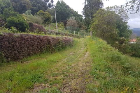 Farm i Arcos de Valdevez, Viana do Castelo, Arcos de Valdevez - € 400.000 | Ref: 126371012-17 - foto 10
