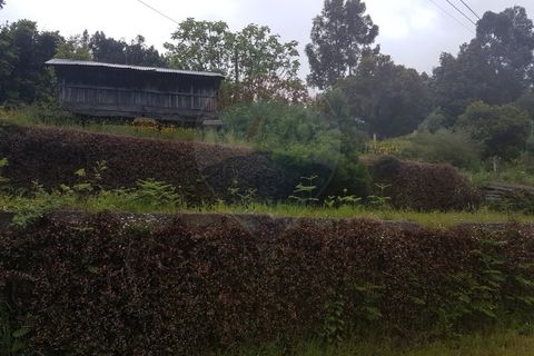 Farm i Arcos de Valdevez, Viana do Castelo, Arcos de Valdevez - € 400.000 | Ref: 126371012-17 - foto 11