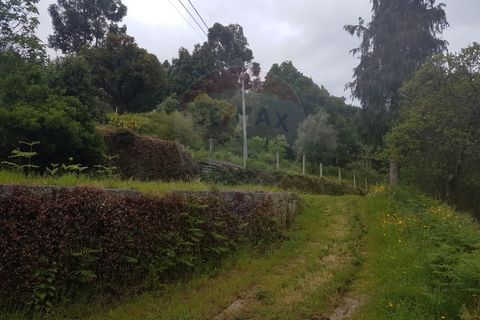 Farm i Arcos de Valdevez, Viana do Castelo, Arcos de Valdevez - € 400.000 | Ref: 126371012-17 - foto 16