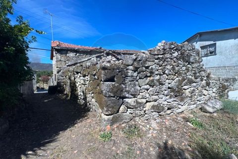 Farm i Ponte da Barca, Viana do Castelo, Ponte da Barca - € 65.500 | Ref: 126371012-78 - foto 7