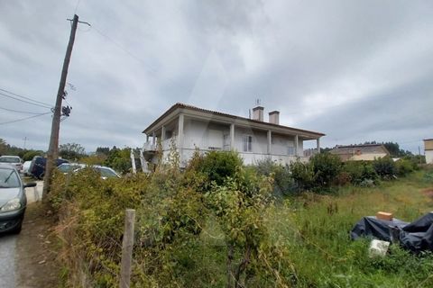 Terra em Barro, Aveiro, Barro - € 240.000 | Ref: 1060959/25 AL - foto 10