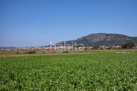 Villa i Esposende, Braga, Esposende - € 2.300.000 | Ref: AG052601 - foto 23