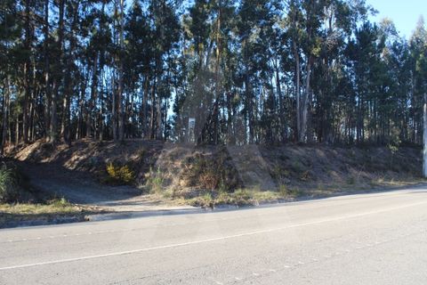 Helårsgrund i Agueda, Aveiro, Agueda - € 18.500 | Ref: 1060648/22 AL - foto 1