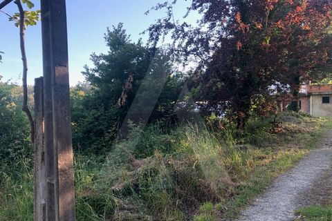 Tomt i Sever do Vouga, Aveiro, Sever do Vouga - € 10 500 | Ref: 1060571/21 AL - foto 3