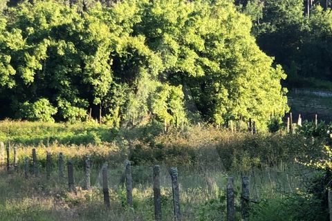 Tomt i Sever do Vouga, Aveiro, Sever do Vouga - € 10 500 | Ref: 1060571/21 AL - foto 5