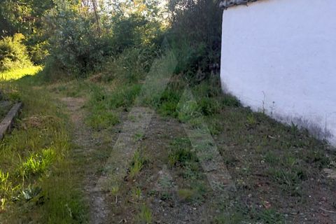 Tomt i Sever do Vouga, Aveiro, Sever do Vouga - € 10 500 | Ref: 1060571/21 AL - foto 10