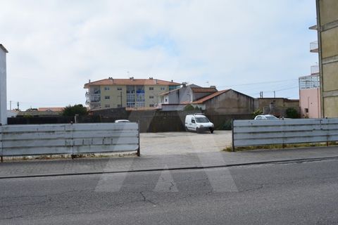 Helårsgrund i Vagos, Aveiro, Vagos - € 204.000 | Ref: 1060554/21 AL - foto 11
