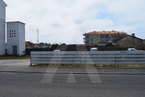 Helårsgrund i Vagos, Aveiro, Vagos - € 204.000 | Ref: 1060554/21 AL - foto 14