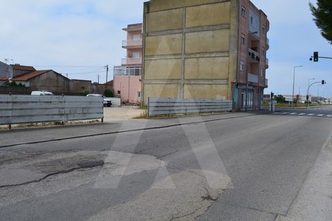 Helårsgrund i Vagos, Aveiro, Vagos - € 204.000 | Ref: 1060554/21 AL - foto 17