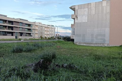 Helårsgrund i Vagos, Aveiro, Vagos - € 360.000 | Ref: AV24/170 - foto 2