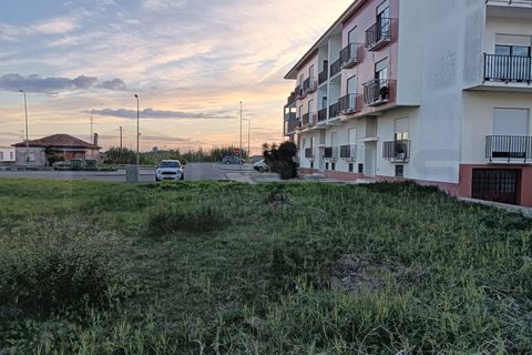 Helårsgrund i Vagos, Aveiro, Vagos - € 360.000 | Ref: AV24/170 - foto 3
