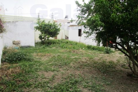 Villa i Tavira, Faro, Tavira - € 600.000 | Ref: 1001-005 - foto 22