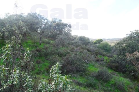 Helårsgrund i Castro Marim, Faro, Castro Marim - € 25.000 | Ref: 1002-968 - foto 2