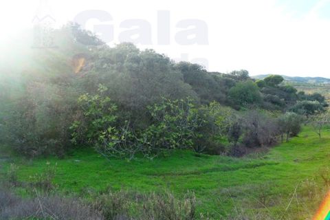 Helårsgrund i Castro Marim, Faro, Castro Marim - € 25.000 | Ref: 1002-968 - foto 3