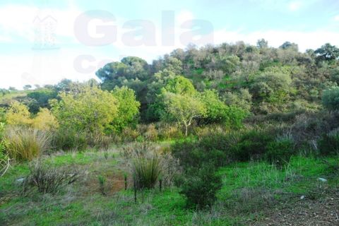 Helårsgrund i Castro Marim, Faro, Castro Marim - € 25.000 | Ref: 1002-968 - foto 4