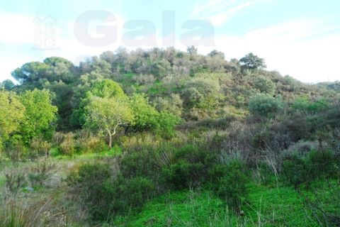 Helårsgrund i Castro Marim, Faro, Castro Marim - € 25.000 | Ref: 1002-968 - foto 5