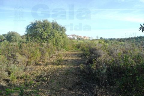 Helårsgrund i Castro Marim, Faro, Castro Marim - € 25.000 | Ref: 1002-968 - foto 9
