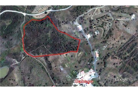 Helårsgrund i Castro Marim, Faro, Castro Marim - € 25.000 | Ref: 1002-968 - foto 11