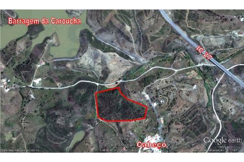 Helårsgrund i Castro Marim, Faro, Castro Marim - € 25.000 | Ref: 1002-968 - foto 12
