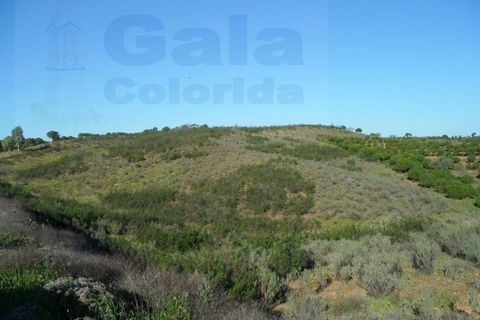 Helårsgrund i Castro Marim, Faro, Castro Marim - € 19.000 | Ref: 1002-844 - foto 1