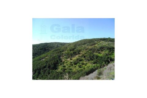 Helårsgrund i Castro Marim, Faro, Castro Marim - € 19.000 | Ref: 1002-844 - foto 2