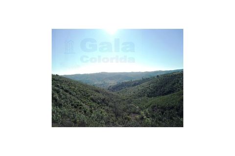 Helårsgrund i Castro Marim, Faro, Castro Marim - € 19.000 | Ref: 1002-844 - foto 3