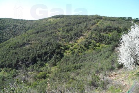 Helårsgrund i Castro Marim, Faro, Castro Marim - € 19.000 | Ref: 1002-844 - foto 6