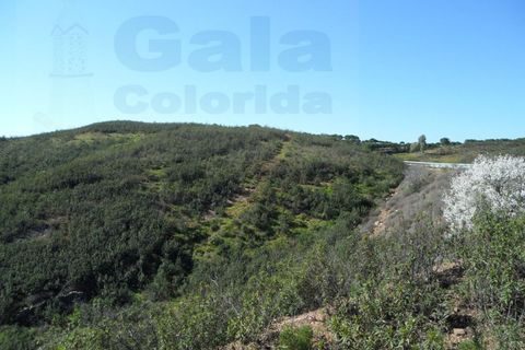 Helårsgrund i Castro Marim, Faro, Castro Marim - € 19.000 | Ref: 1002-844 - foto 7