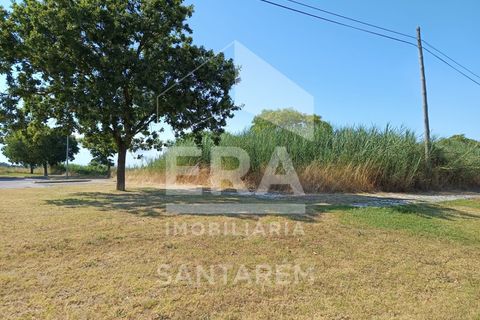 Helårsgrund i Benavente, Santarem, Benavente - € 179.000 | Ref: 12232 - foto 4