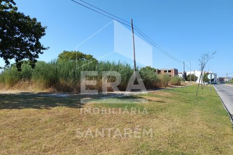 Helårsgrund i Benavente, Santarem, Benavente - € 179.000 | Ref: 12232 - foto 5