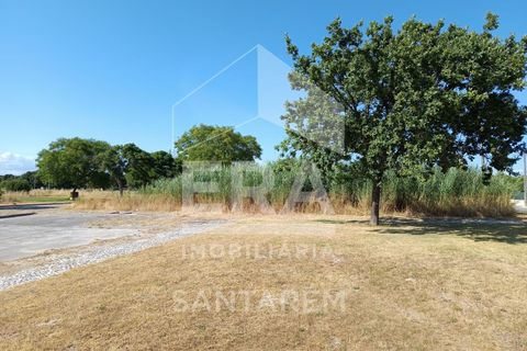 Helårsgrund i Benavente, Santarem, Benavente - € 179.000 | Ref: 12232 - foto 6