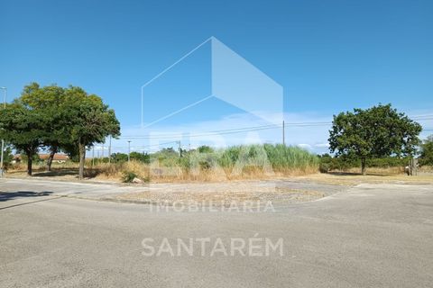 Helårsgrund i Benavente, Santarem, Benavente - € 179.000 | Ref: 12232 - foto 7