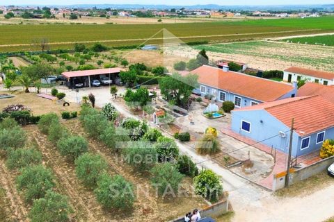 Haus in Alpiarca, Santarem, Alpiarca - € 350.000 | Ref: 12262 - Foto 1