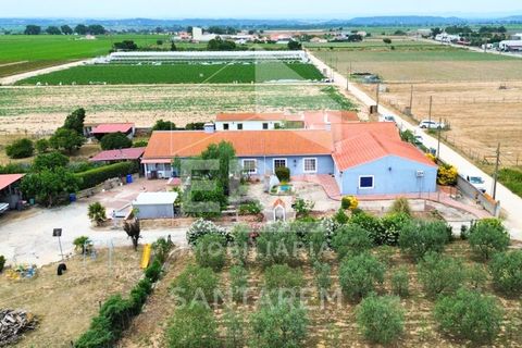 Haus in Alpiarca, Santarem, Alpiarca - € 350.000 | Ref: 12262 - Foto 2