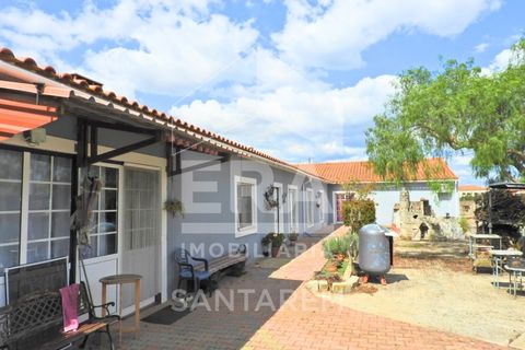 Haus in Alpiarca, Santarem, Alpiarca - € 350.000 | Ref: 12262 - Foto 15