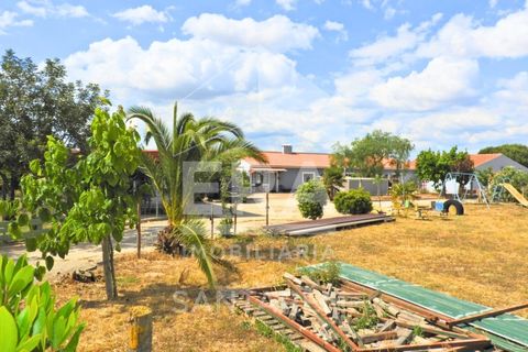 Haus in Alpiarca, Santarem, Alpiarca - € 350.000 | Ref: 12262 - Foto 19