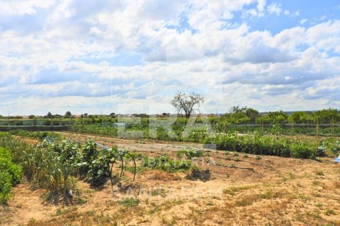 Haus in Alpiarca, Santarem, Alpiarca - € 350.000 | Ref: 12262 - Foto 20