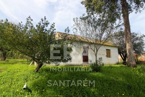 Helårsgrund i Chamusca, Santarem, Chamusca - € 120.000 | Ref: 12156 - foto 1