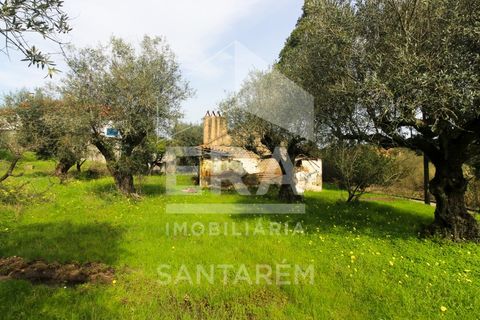 Helårsgrund i Chamusca, Santarem, Chamusca - € 120.000 | Ref: 12156 - foto 4