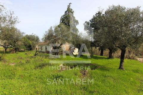 Helårsgrund i Chamusca, Santarem, Chamusca - € 120.000 | Ref: 12156 - foto 5