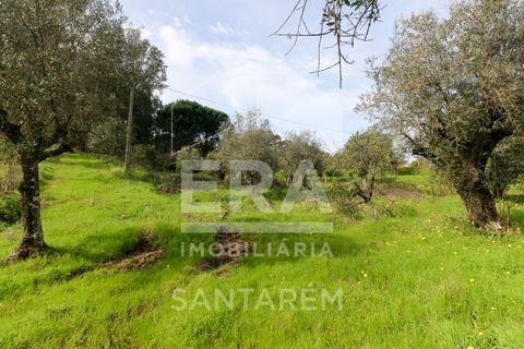 Helårsgrund i Chamusca, Santarem, Chamusca - € 120.000 | Ref: 12156 - foto 6