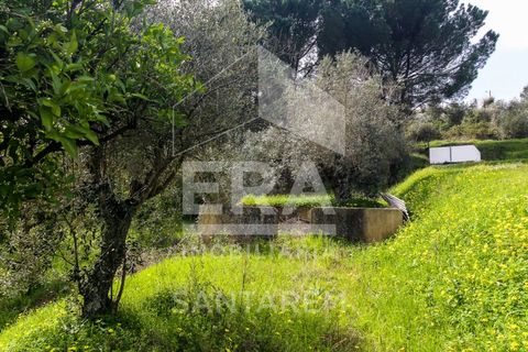 Helårsgrund i Chamusca, Santarem, Chamusca - € 120.000 | Ref: 12156 - foto 8