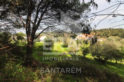 Helårsgrund i Chamusca, Santarem, Chamusca - € 120.000 | Ref: 12156 - foto 9
