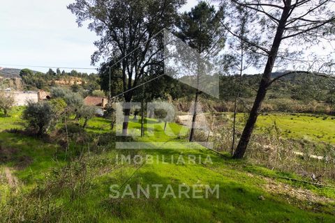 Helårsgrund i Chamusca, Santarem, Chamusca - € 120.000 | Ref: 12156 - foto 10