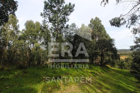 Helårsgrund i Chamusca, Santarem, Chamusca - € 120.000 | Ref: 12156 - foto 11