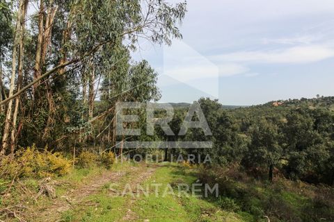Helårsgrund i Chamusca, Santarem, Chamusca - € 120.000 | Ref: 12156 - foto 12
