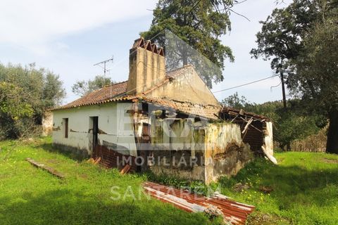 Helårsgrund i Chamusca, Santarem, Chamusca - € 120.000 | Ref: 12156 - foto 17