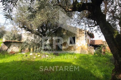 Helårsgrund i Chamusca, Santarem, Chamusca - € 120.000 | Ref: 12156 - foto 18
