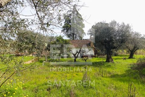 Helårsgrund i Chamusca, Santarem, Chamusca - € 120.000 | Ref: 12156 - foto 19